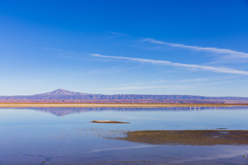 Los Flamencos National Reserve
