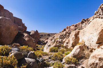 Los Flamencos National Reserve