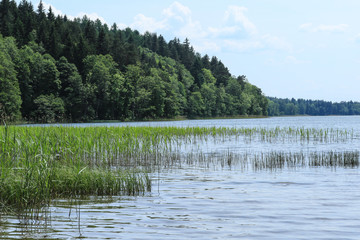 Jezioro Hańcza © irena iris szewczyk