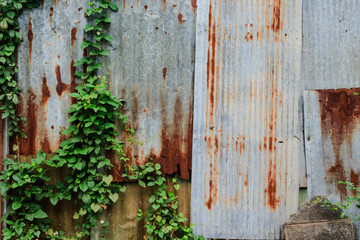 Tin Roof wall countryside