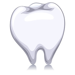 Vector Illustration of a White Tooth