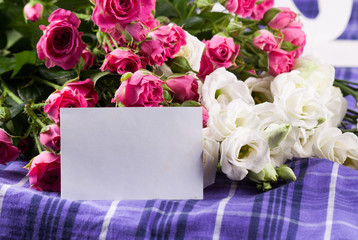 Obraz premium Fresh rose on a white