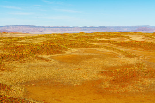 Airwiev of the dunes of Sossusvlei, Namibia