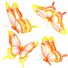butterflies design