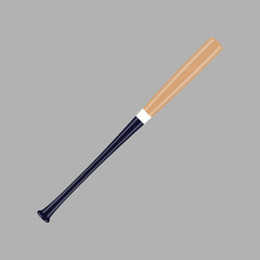 Baseball bat on a gray background
