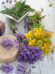natural herbal cosmetics, ingredients
