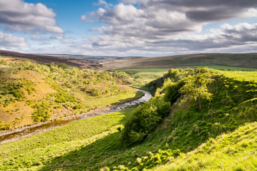 River Coquet in Upper Coquetdale Valley flowing down from the Cheviot Hills