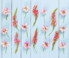 Meadow pink flowers on blue wooden background.