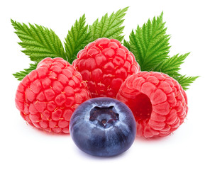 Three ripe raspberries with green leaf and one blueberry isolated on white background with clipping path
