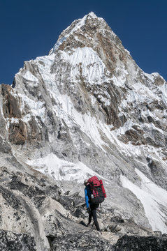 Nepal, Himalaya, Solo Khumbu, Everest region Ama Dablam, mountaineer