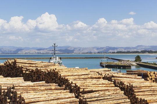 New Zealand, North Island, Gisborne, Industrial Harbour, Eastland Port, Timber industry, Log storage for shipment, timber, monterey pine