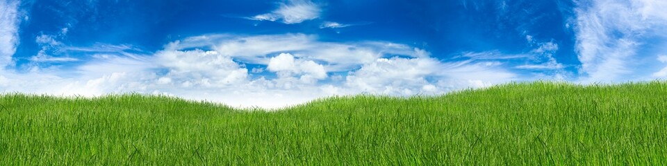 green hilly grass landscape panorama in front of blue sky / Grün hügelige Wiese Gras landschaft...