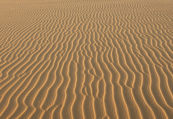 Fototapeta na wymiar texture of yellow sand