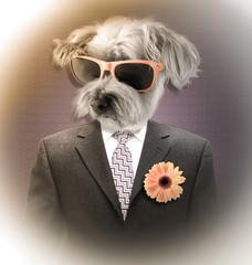Homme avec tête de chien vintage