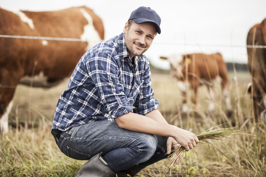 Portrait of farmer with grass crouching on field while animals grazing in background