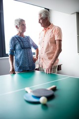 Couple of seniors interacting behind a ping pong table