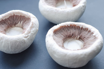 champignon overturned on black