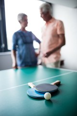 Couple of seniors interacting behind a ping pong table