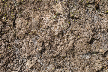 Stone texture / background with moss  