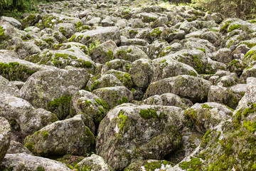 Fototapeta na wymiar Stones with moss in jungle / forest