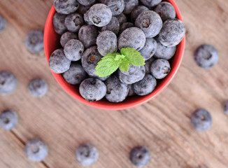 Fresh blueberry closeup