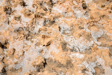 Limestone background close up.