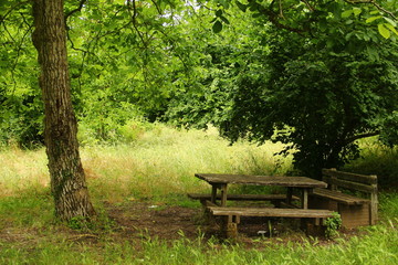 Panchine lungo la Via Clodia a Blera