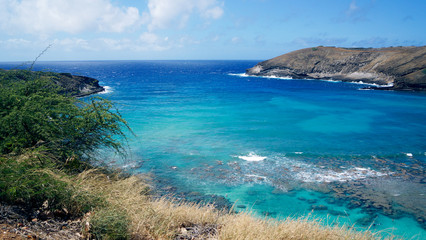 Bright Hawaiian Ocean Bay