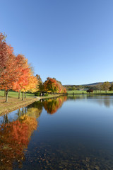 Lake in Autumn Surrounded by Trees in Fall Colors