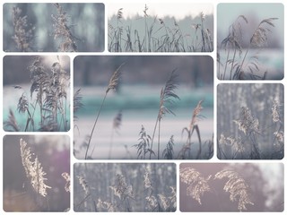 Collage of winter images - travel background (my photos)