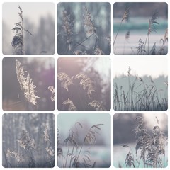 Collage of winter images - travel background (my photos)