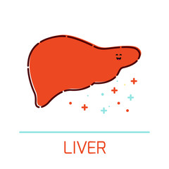 Cute healthy liver icon made in cartoon style. Liver cartoon character. Human body organs anatomy icon. Medical human internal organ symbol. Medical concept. Vector illustration.