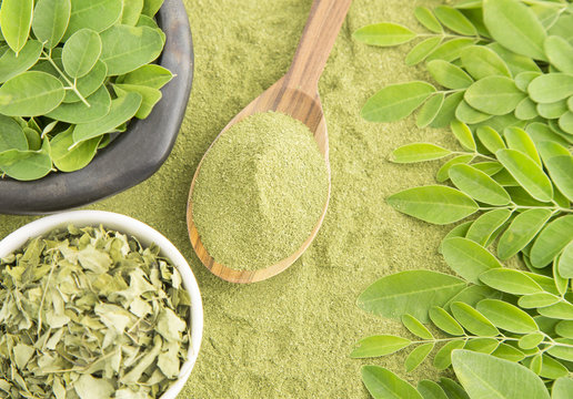 Moringa leaves and dust
