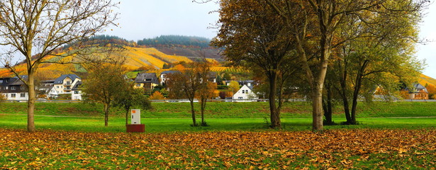 leerer Wohnmobilstellplatz im Herbst in Enkirch an der Mosel Panorama

