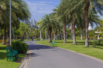 Walking street in the green city public park.