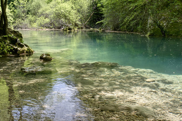 Aguas tranquilas  en la ruta del Nacedero del río Urederra en Navarra