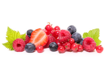 berries fruits isolated on white