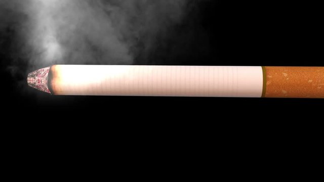 タバコ　CG　イメージ映像