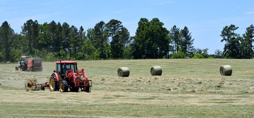 Tractors rolling bales of hay
