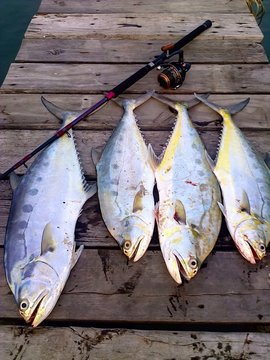 Big fishing game at bridge