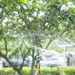 Springer , automatic watering is working in the garden