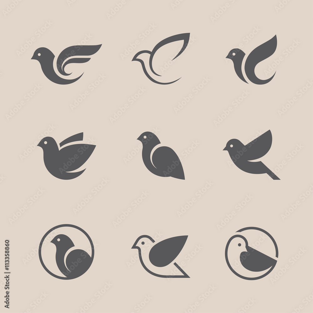 Wall mural black bird icons set