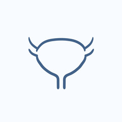 Fototapeta premium Urinary bladder sketch icon.