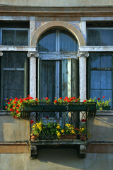 Veneto,Bassano del Grappa, un balcone e finestra con fiori.