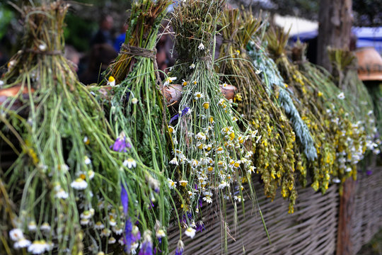 Set of herbs hanging and drying