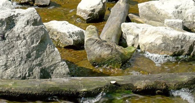 River Water Running Through Stones And Wood