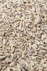 fennel seeds on white background