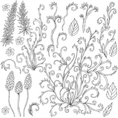 Set of floral doodles