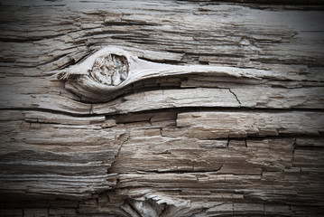 Wooden Background Or Texture With Knothole, Copy Space And Frame