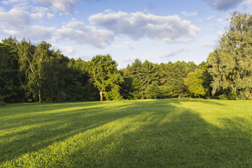 Meadow in the Park on a summer day.
